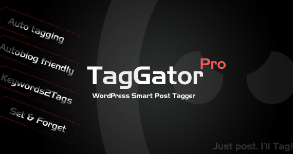 TagGator Pro.  Plugin tự động gắn thẻ WordPress